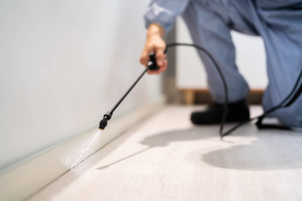 Professional exterminator conducting IPM assessment in Maywood
