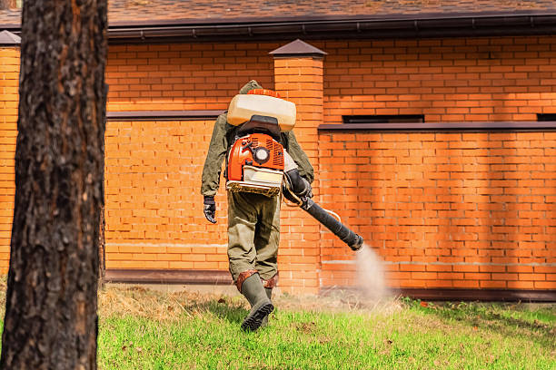 Bed Bug Clearance Verification and Documentation in Maywood